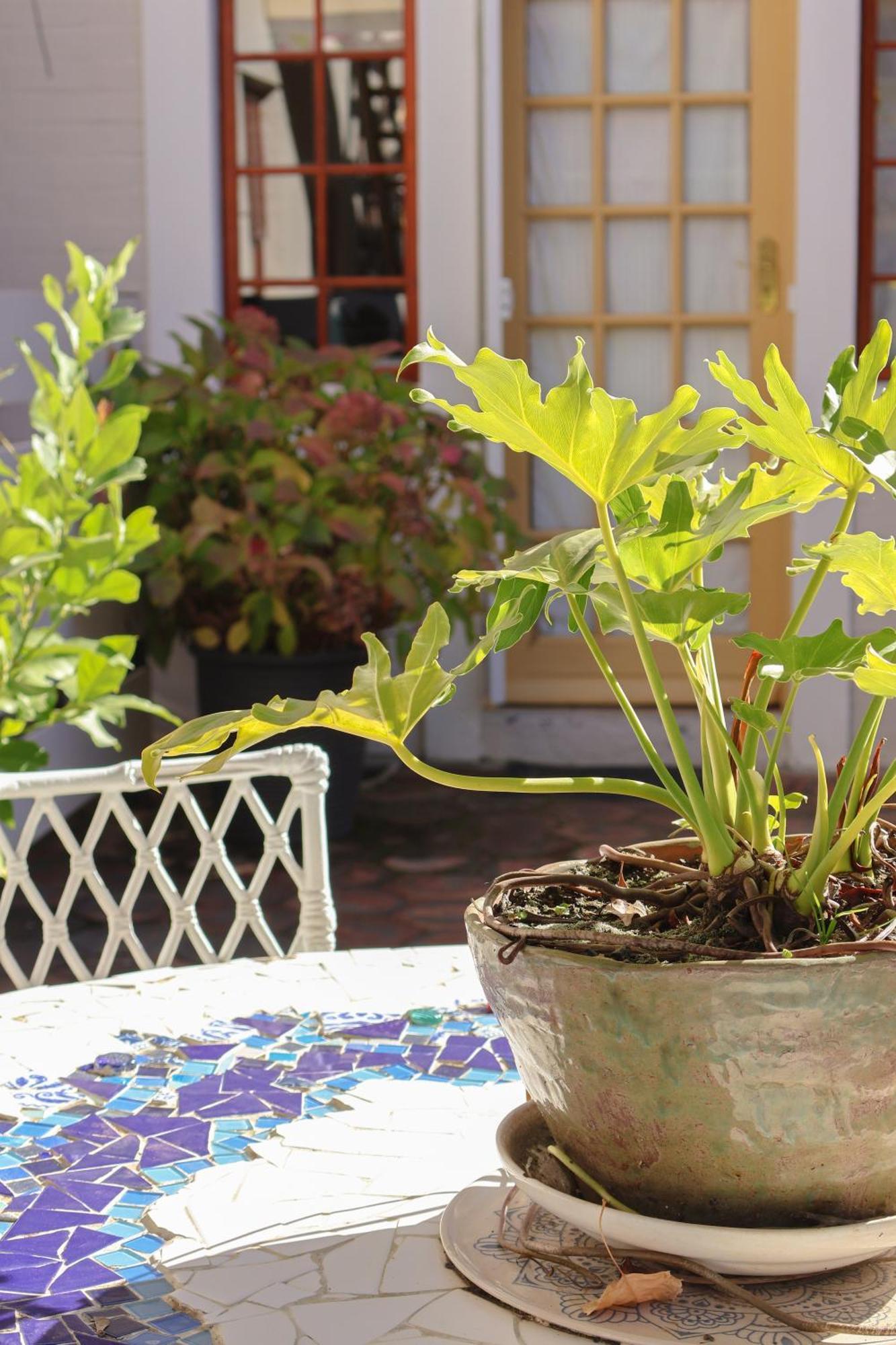 The Gate Guesthouse Clarens Εξωτερικό φωτογραφία